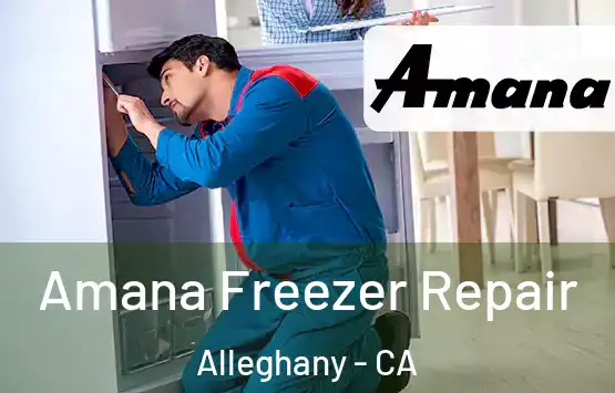  Amana Freezer Repair Alleghany - CA