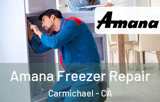  Amana Freezer Repair Carmichael - CA