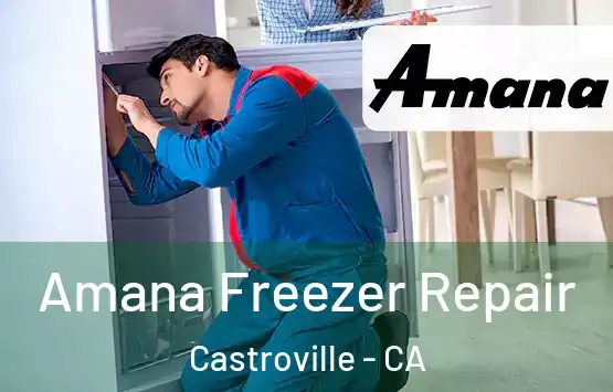  Amana Freezer Repair Castroville - CA