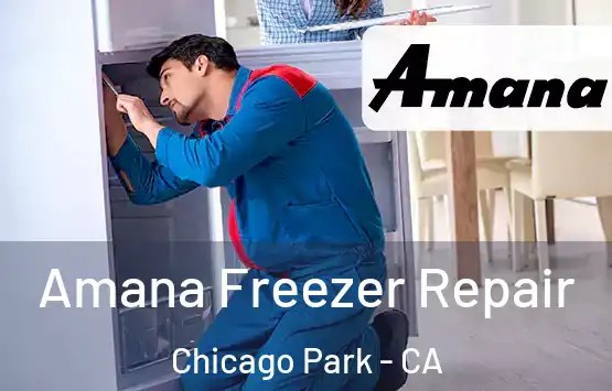  Amana Freezer Repair Chicago Park - CA