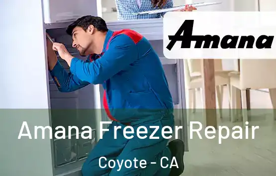  Amana Freezer Repair Coyote - CA