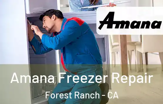  Amana Freezer Repair Forest Ranch - CA