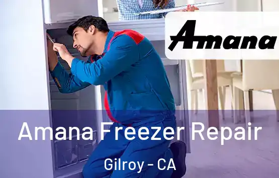  Amana Freezer Repair Gilroy - CA