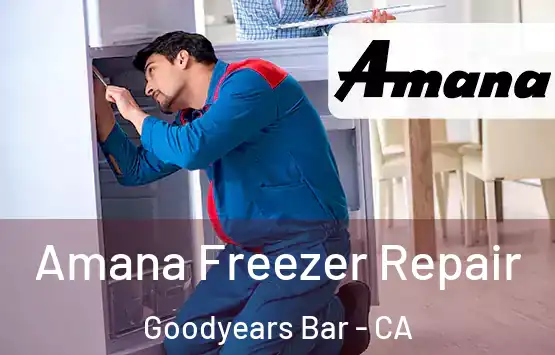  Amana Freezer Repair Goodyears Bar - CA