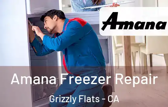  Amana Freezer Repair Grizzly Flats - CA