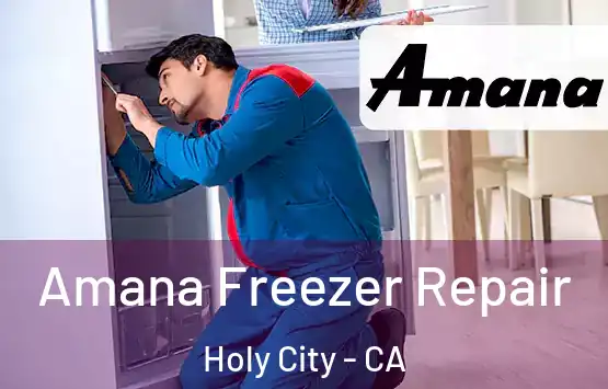  Amana Freezer Repair Holy City - CA