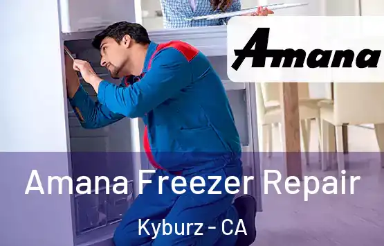  Amana Freezer Repair Kyburz - CA