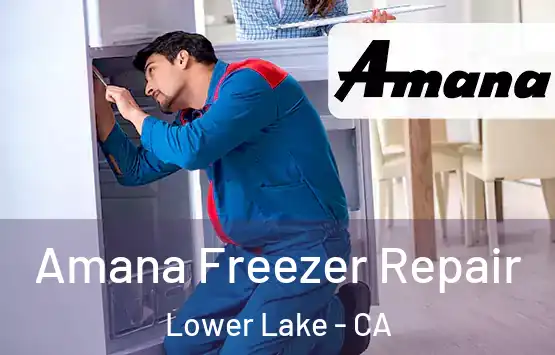  Amana Freezer Repair Lower Lake - CA