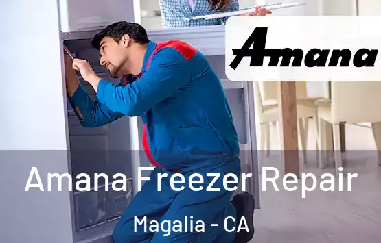  Amana Freezer Repair Magalia - CA