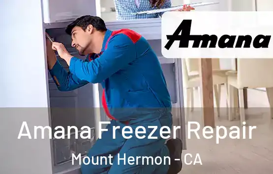  Amana Freezer Repair Mount Hermon - CA
