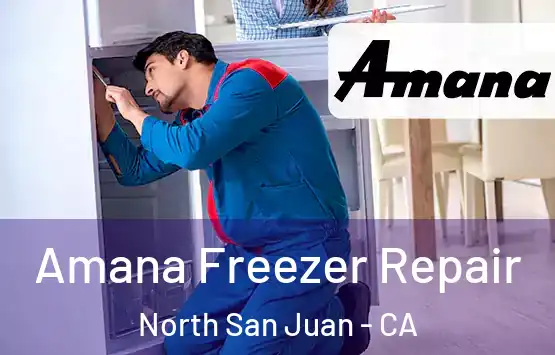  Amana Freezer Repair North San Juan - CA