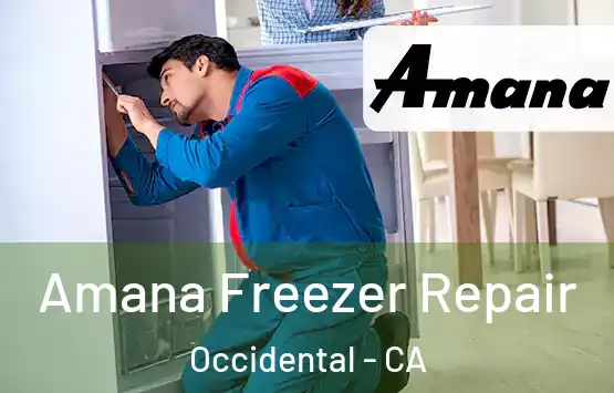  Amana Freezer Repair Occidental - CA