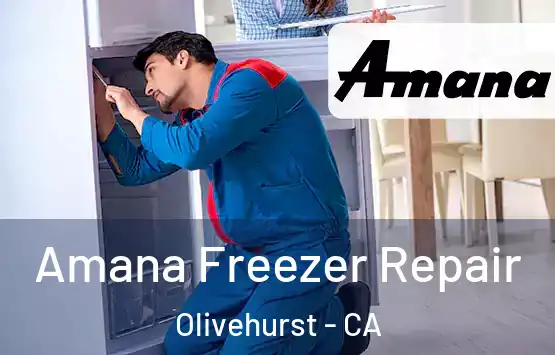  Amana Freezer Repair Olivehurst - CA