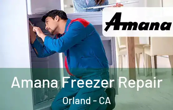  Amana Freezer Repair Orland - CA