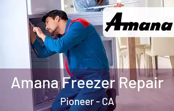  Amana Freezer Repair Pioneer - CA