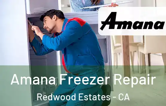  Amana Freezer Repair Redwood Estates - CA