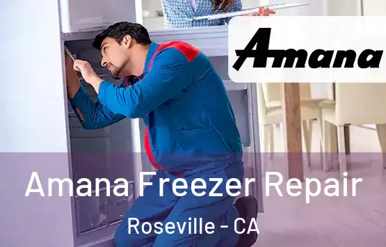  Amana Freezer Repair Roseville - CA