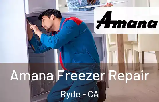  Amana Freezer Repair Ryde - CA