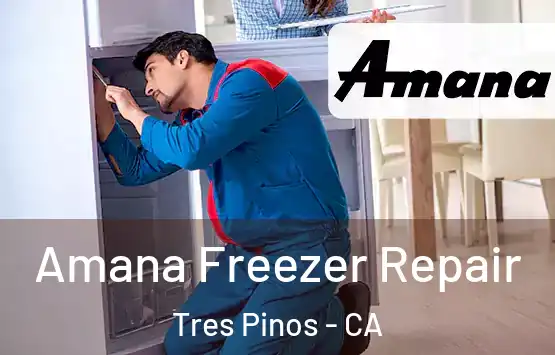  Amana Freezer Repair Tres Pinos - CA