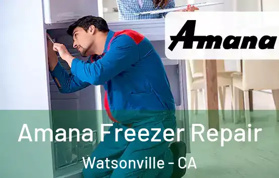  Amana Freezer Repair Watsonville - CA
