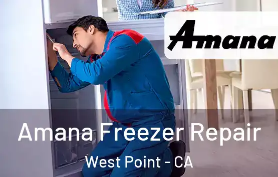  Amana Freezer Repair West Point - CA