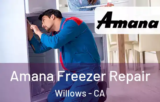  Amana Freezer Repair Willows - CA