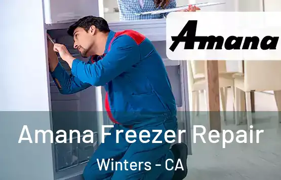 Amana Freezer Repair Winters - CA