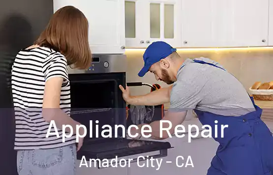  Appliance Repair Amador City - CA