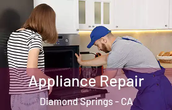  Appliance Repair Diamond Springs - CA