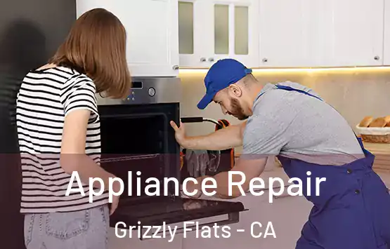  Appliance Repair Grizzly Flats - CA