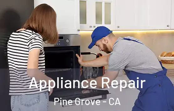  Appliance Repair Pine Grove - CA