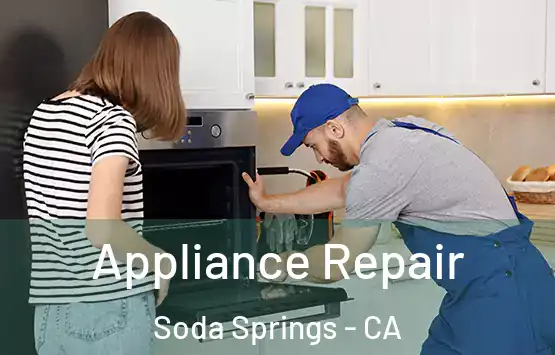  Appliance Repair Soda Springs - CA