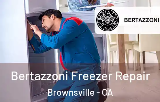  Bertazzoni Freezer Repair Brownsville - CA