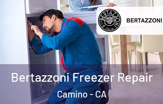  Bertazzoni Freezer Repair Camino - CA