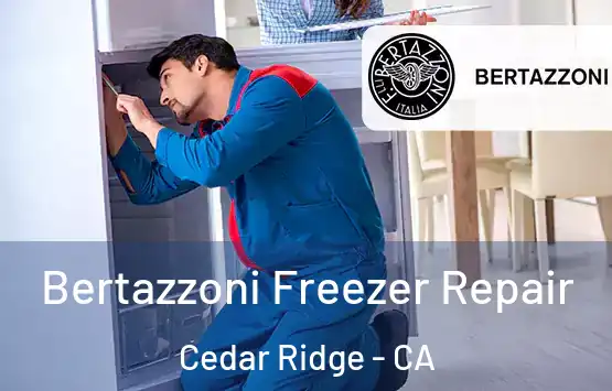 Bertazzoni Freezer Repair Cedar Ridge - CA