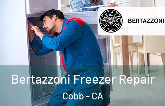  Bertazzoni Freezer Repair Cobb - CA