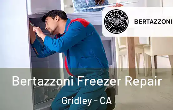  Bertazzoni Freezer Repair Gridley - CA