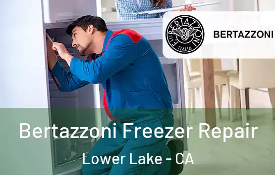  Bertazzoni Freezer Repair Lower Lake - CA