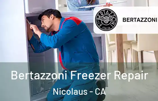  Bertazzoni Freezer Repair Nicolaus - CA