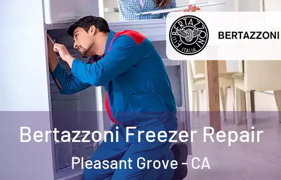  Bertazzoni Freezer Repair Pleasant Grove - CA