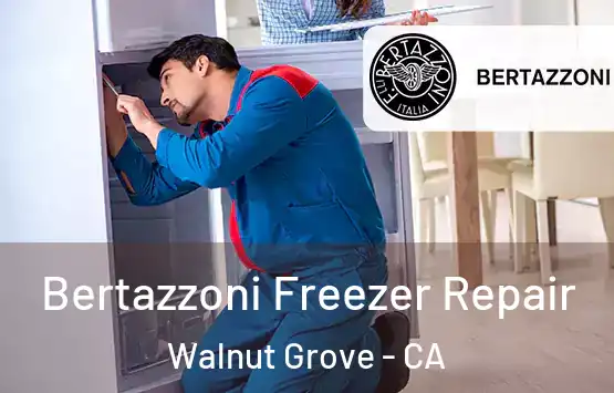  Bertazzoni Freezer Repair Walnut Grove - CA