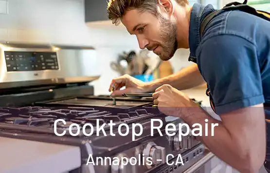  Cooktop Repair Annapolis - CA