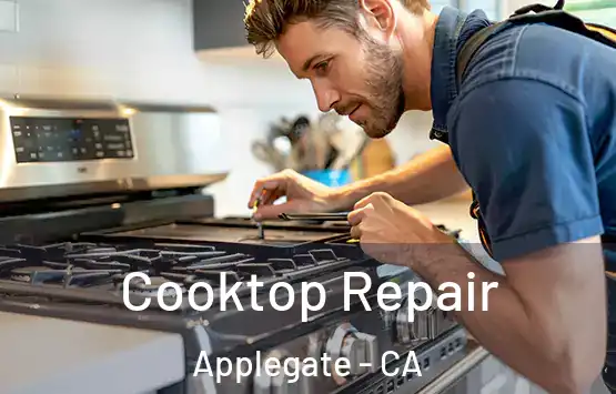  Cooktop Repair Applegate - CA
