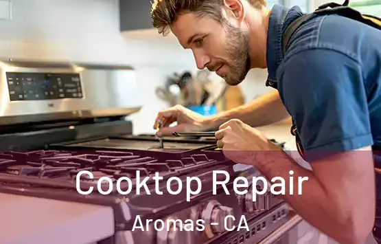  Cooktop Repair Aromas - CA