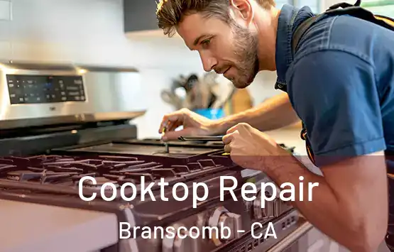  Cooktop Repair Branscomb - CA