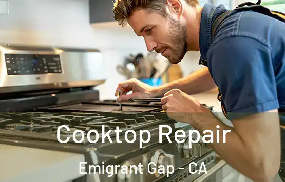  Cooktop Repair Emigrant Gap - CA