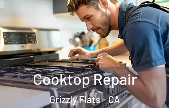  Cooktop Repair Grizzly Flats - CA