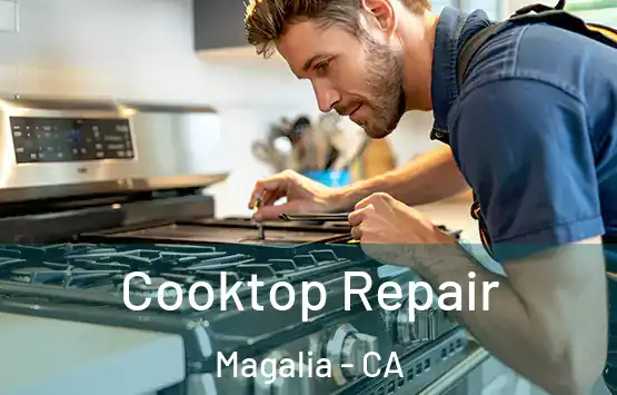  Cooktop Repair Magalia - CA