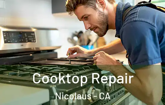  Cooktop Repair Nicolaus - CA