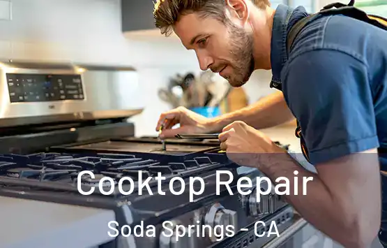  Cooktop Repair Soda Springs - CA
